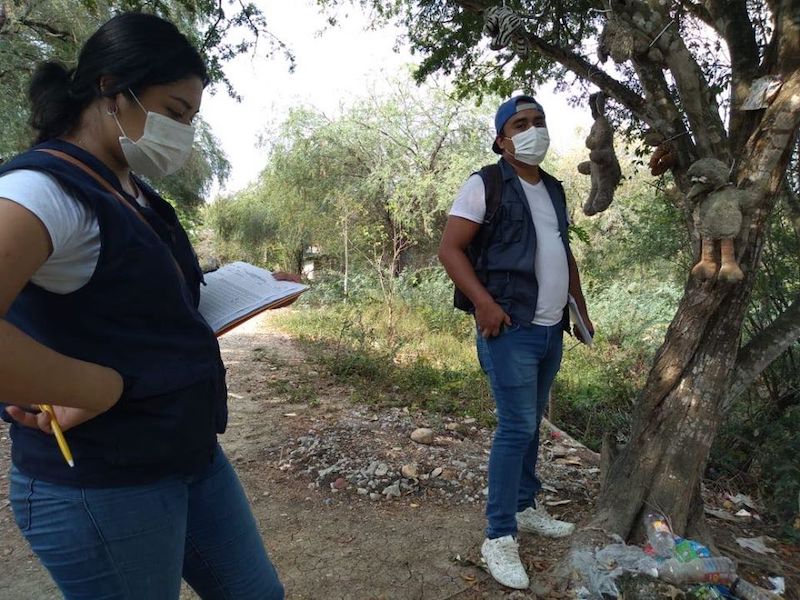 Tempoal da inicio a programa contra el dengue